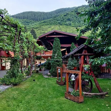 Guest house Pensiunea Calin *