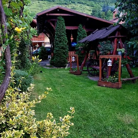 Guest house Pensiunea Calin
