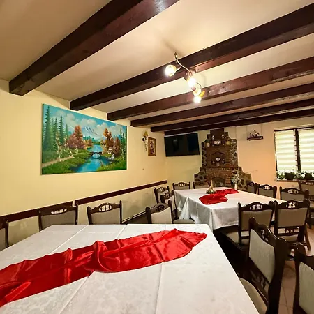 Guest house Pensiunea Calin *