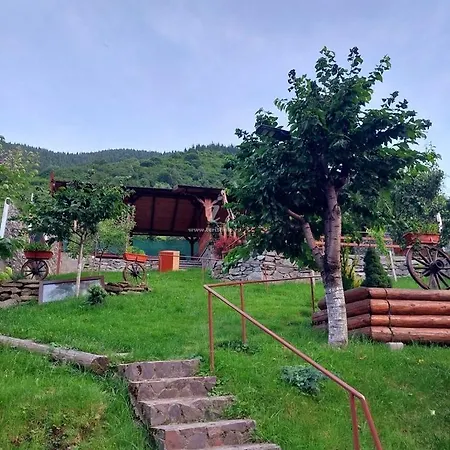 Guest house Pensiunea Calin