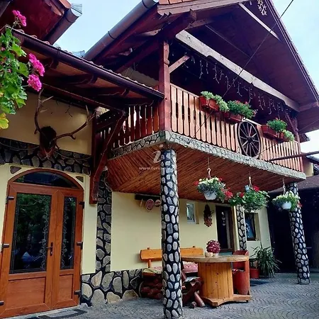 Pensiunea Calin Guest house *
