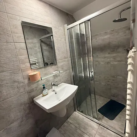 Guest house Pensiunea Calin *